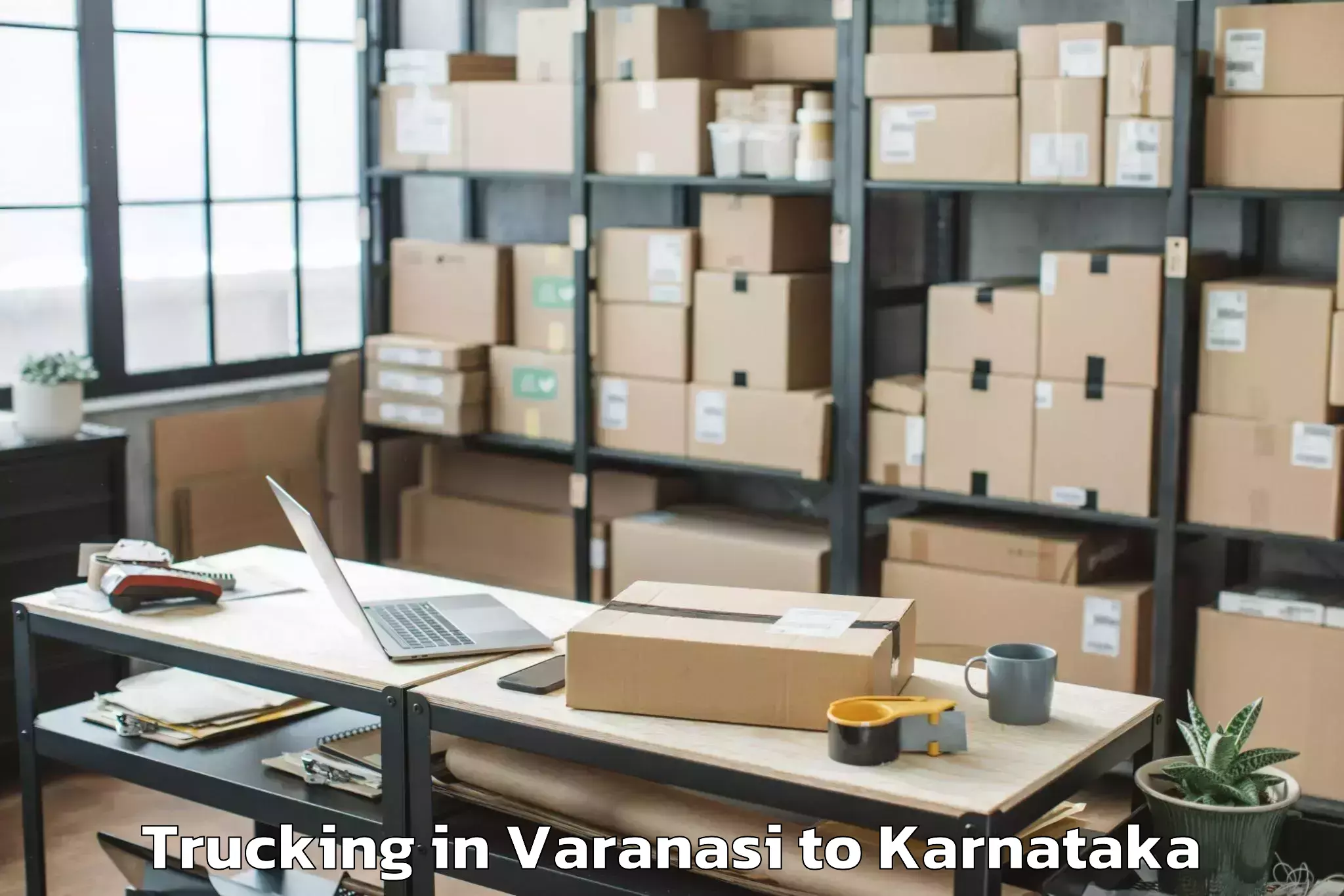 Book Varanasi to Karnataka Veterinary Animal An Trucking